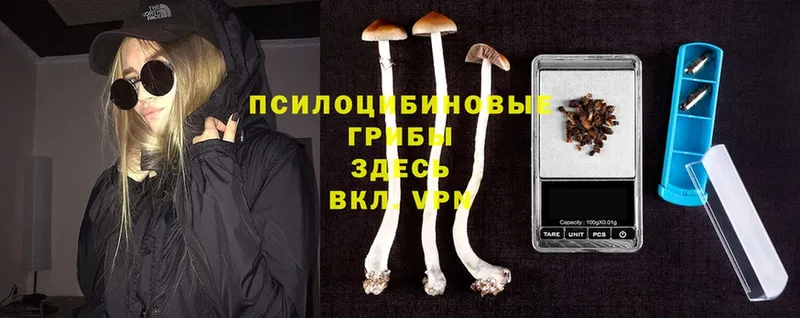 МЕГА онион  Анжеро-Судженск  Галлюциногенные грибы Psilocybe 